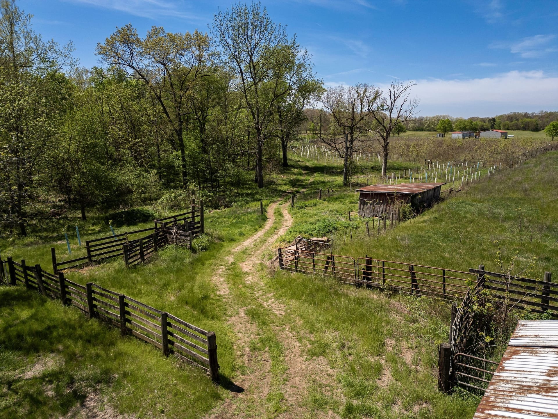 3147w260ncovington 011