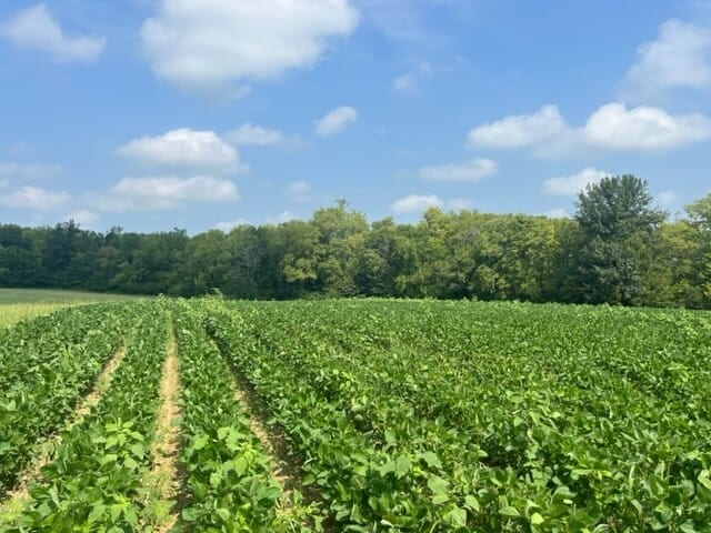 5+/- Acres in Moultrie County, IL