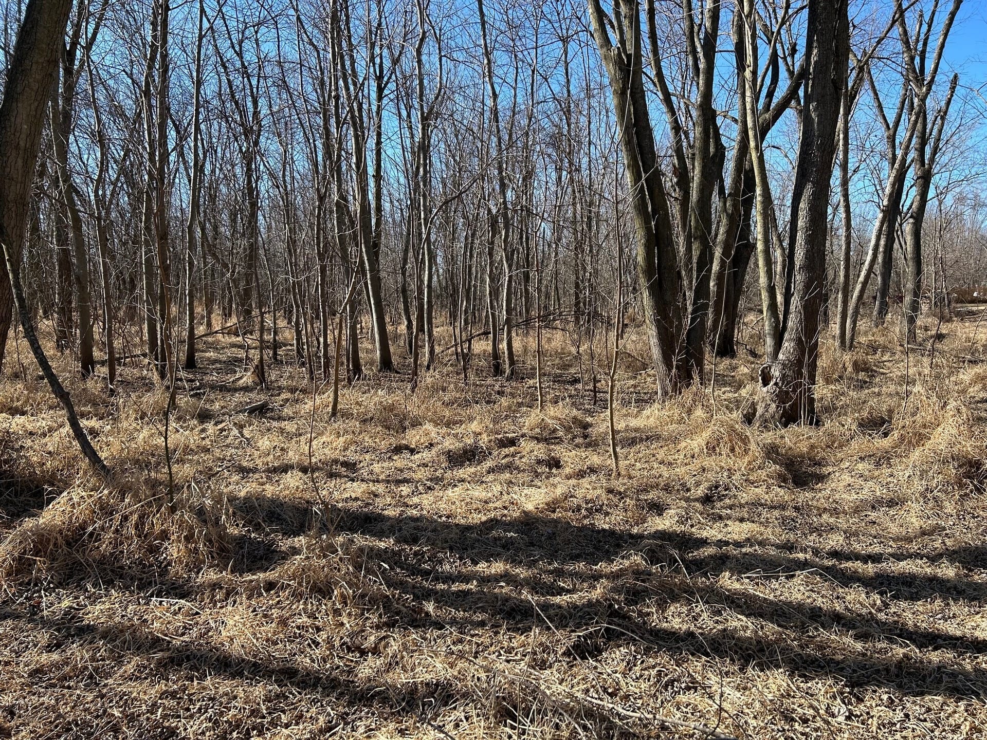 Rock Island 68 Acres